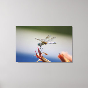 Libellen-nahe hohe Foto-Wand-Kunst Leinwanddruck