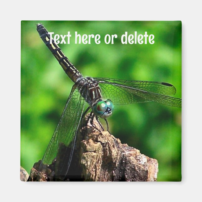 Libellen-Natur Personalisiert Magnet (Vorne)