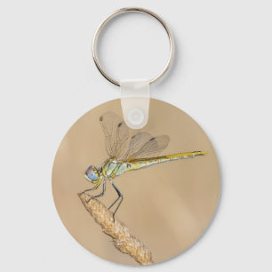 Libellen-Skimmer Insekt Weiblich (CC BY 4.0) Keych Schlüsselanhänger