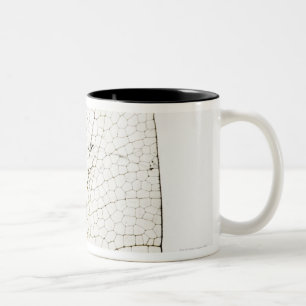 Libellenflügel Zweifarbige Tasse