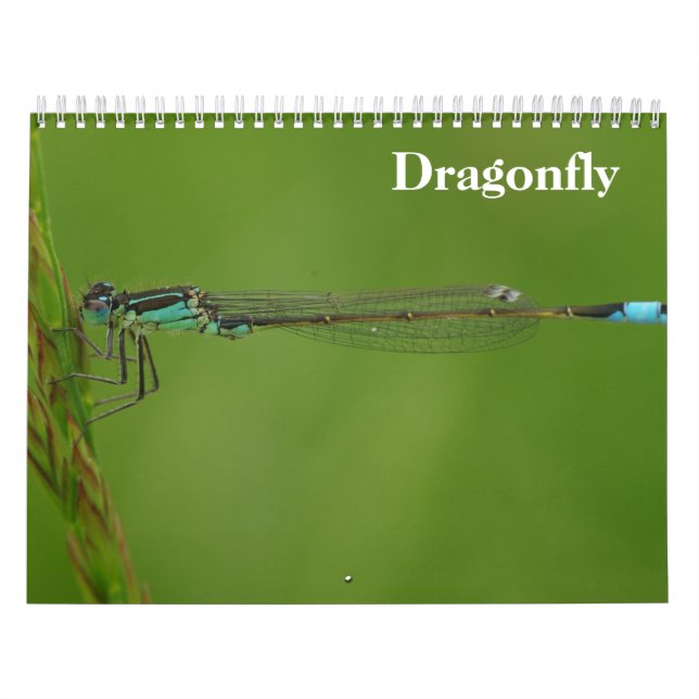 Libellenkalender 2027 kalender (Titelbild)