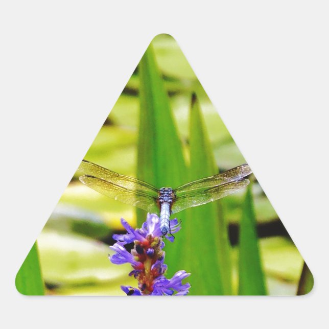 Libellenlotus und lila Blume Dreieckiger Aufkleber (Vorderseite)