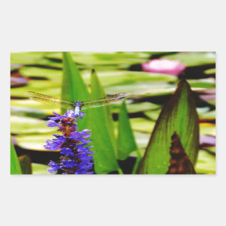 Libellenlotus und lila Blume Rechteckiger Aufkleber