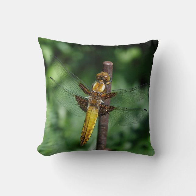 Libellula depressa kissen (Vorderseite)