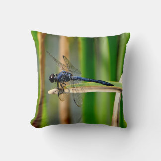 libellule bleu foncé, coussin vert