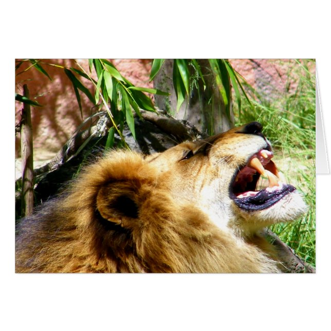 Libérée, délivrée (Devant horizontal)