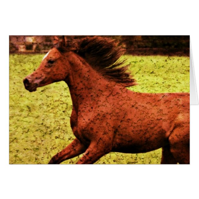 Liberté (Devant horizontal)