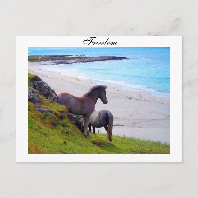 Liberté - carte postale (Devant)