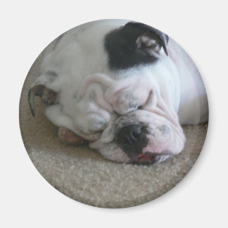 Liberty-Magnet Magnet