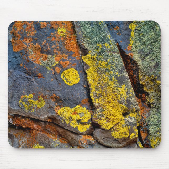 Lichen Covered Rocks Mousepad (Vorne)