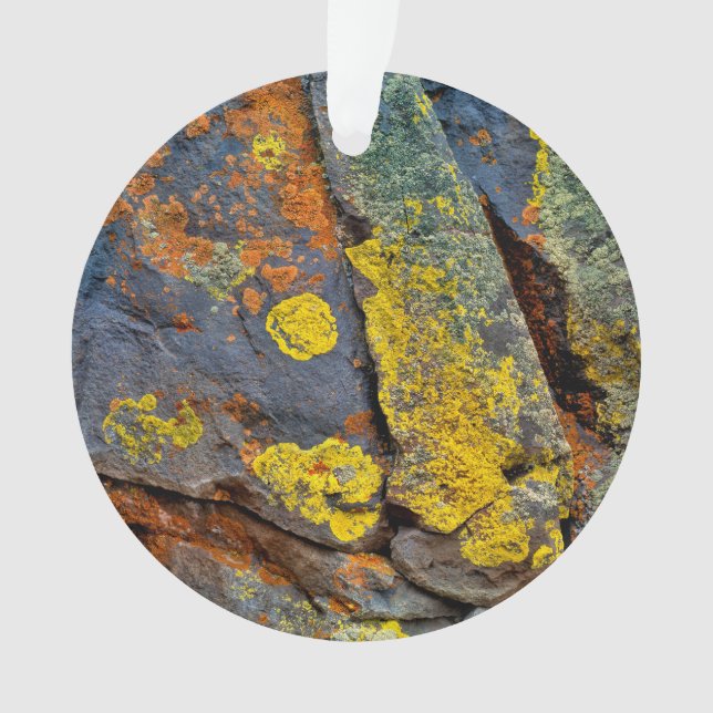 Lichen Covered Rocks Ornament (Vorderseite)