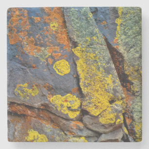 Lichen Covered Rocks Steinuntersetzer