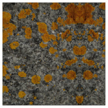lichen sur le tissu de photo de granit