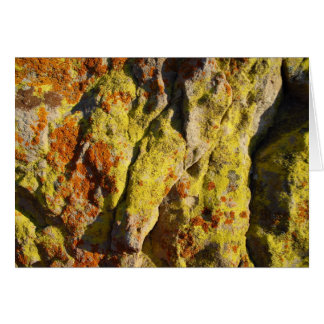 Lichen sur Rock