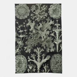 Lichen von Ernst Haeckel, Pflanze für Vintage Natu Geschirrtuch