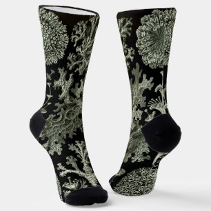 Lichen von Ernst Haeckel, Pflanze für Vintage Natu Socken