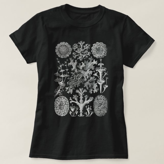 Lichenes Flechten T - Shirt (Design vorne)
