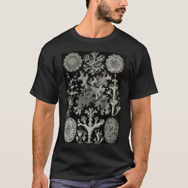 Lichenes (Thallophytes - Lichens) - Ernst T-Shirt (Vorderseite)