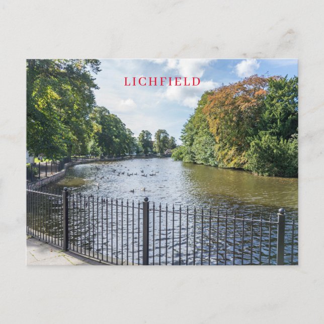 Lichfield Minster Pool View Postkarte (Vorderseite)