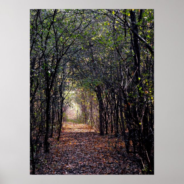 Licht am Ende des Wegplakats Poster (Vorne)