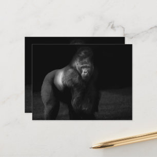 Licht auf Stärke – Silberrücken-Gorilla Postkarte