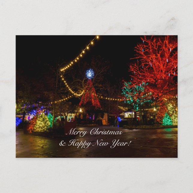 Licht für Weihnachtspostkarte Postkarte (Vorderseite)