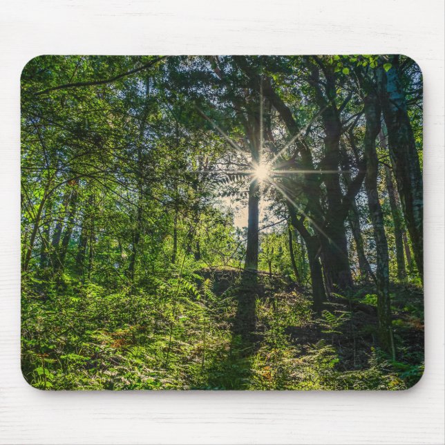 Licht im Wald Mousepad (Vorne)