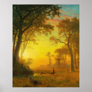 Licht im Wald Poster