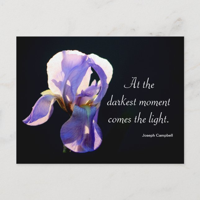Licht in der Dunkelheit Iris Fotografie und Zitat Postkarte (Vorderseite)