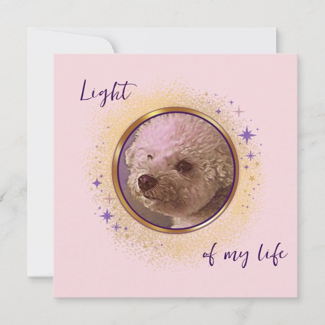 Licht meines Lichtkarten (Vorderseite)