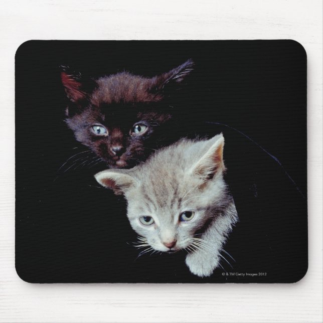 Licht und Dunkle Kätzchen Mousepad (Vorne)