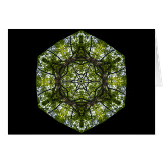 Licht und Muster im Blätter