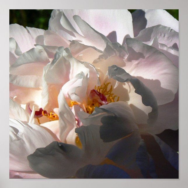 Licht und Schatten 2 Poster (Vorne)