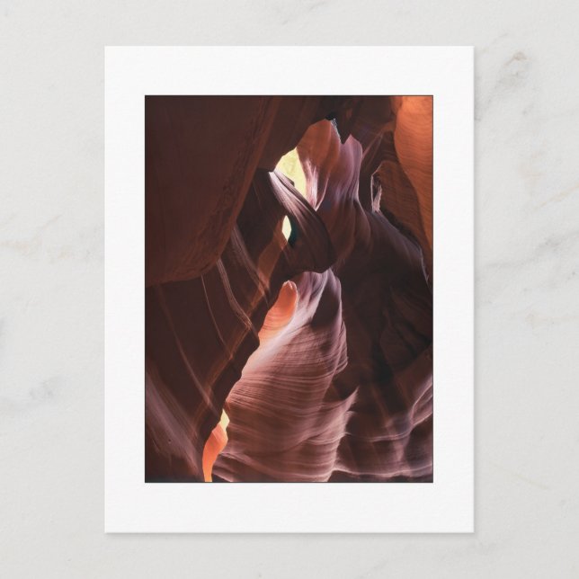 "Lichtbrille" Postkarte (Vorderseite)