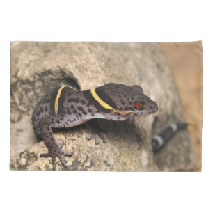 Lichtenfelders Gecko Kissenbezug