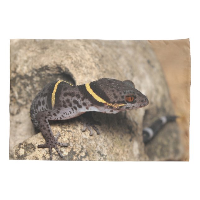 Lichtenfelders Gecko Kissenbezug (Rückseite)