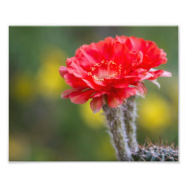 Lichtfarbe Fotodruck