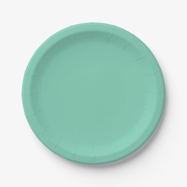 Lichtküstengrüne Farbe Pappteller (Vorderseite)