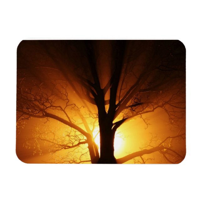 Lichtschacht Premium Magnet (Horizontal)