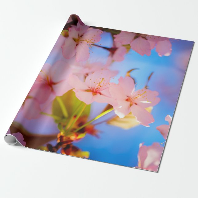Lichtspiel auf Sakura Geschenkpapier (Ungerollt)
