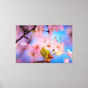 Lichtspiel auf Sakura Leinwanddruck