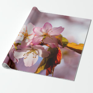 Lichtspiel und Schatten auf Sakura-Petalen Geschenkpapier