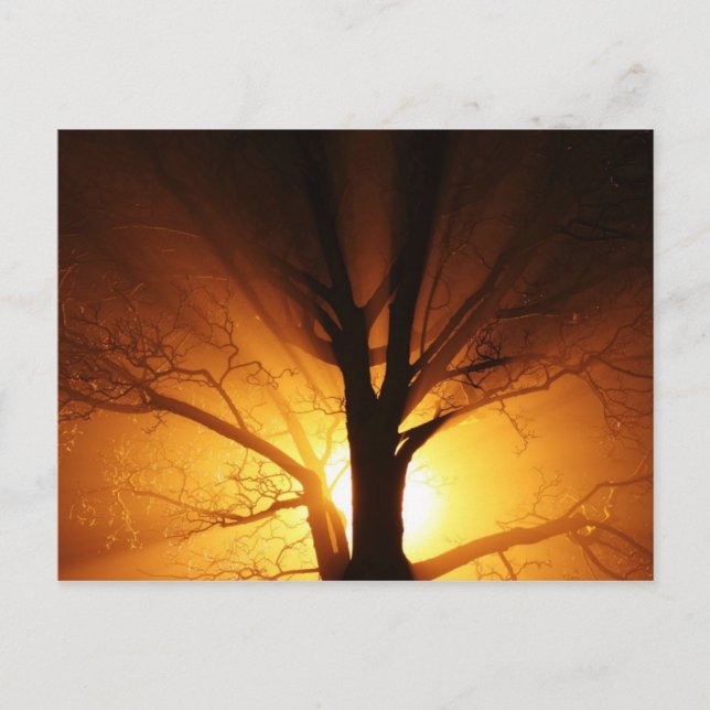 Lichtstau Postkarte (Vorderseite)