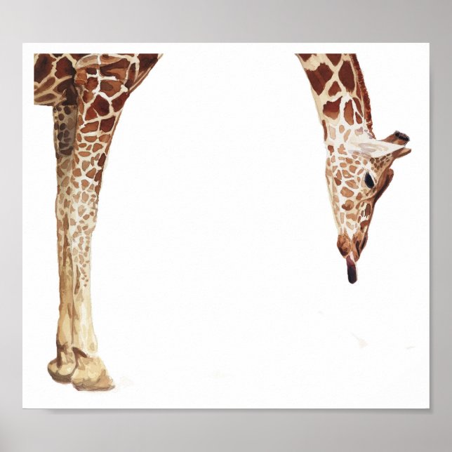 "Licker" Giraffe Wildtiere Wasserfarbe Poster (Vorne)