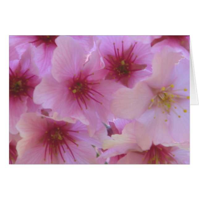 Liebe (Vorderseite (Horizontal))