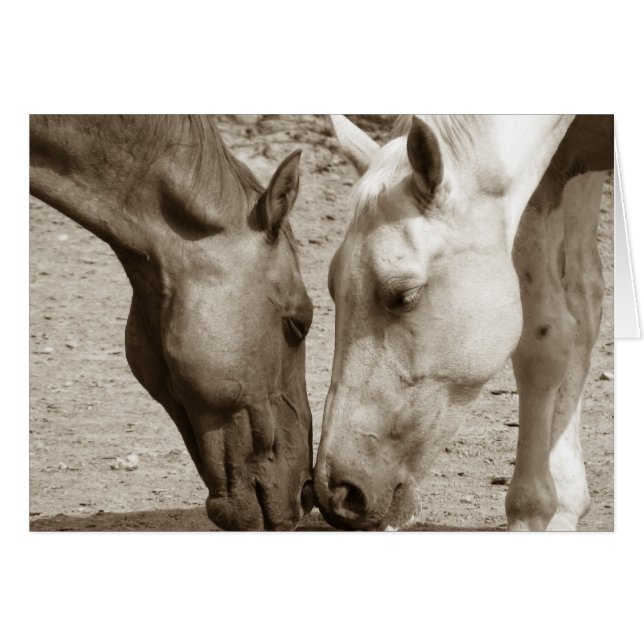 Liebe (Vorderseite (Horizontal))