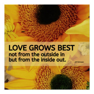 Liebe 20x20 wächst bestes/Sonnenblume-Zitat-Plaka Poster