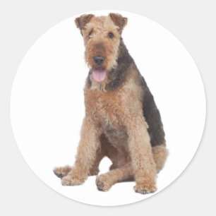 Liebe Airedale Terrier Welpen Hund Aufkleber