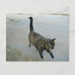 Liebe als kostenlose Postkarte