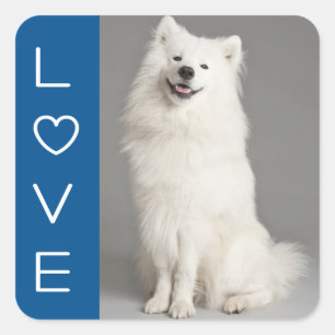 Liebe American Eskimo Puppy Hund Sticker / Label